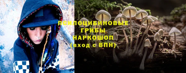 ешки Алексеевка