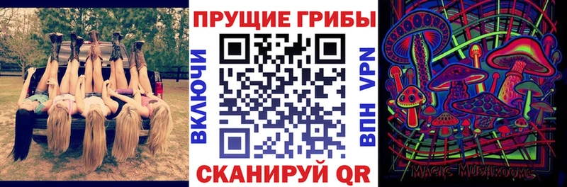 Псилоцибиновые грибы Cubensis  что такое   Якутск 