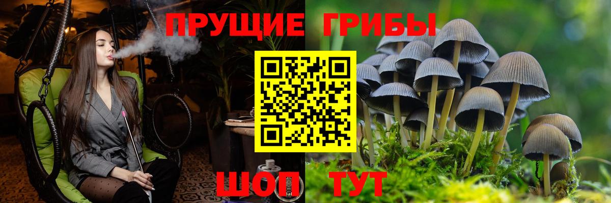 Якутск  Псилоцибиновые грибы прущие грибы  Вход с VPN 